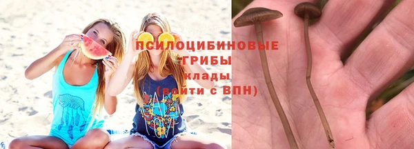 прущие крисы Алзамай