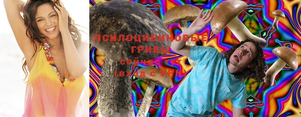 прущие крисы Алзамай