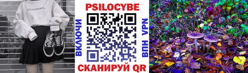 Галлюциногенные грибы мицелий  Жирновск 